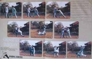 2 91 Martial Arts of China Magazine Chen Sitan Black Belt Karate Kung Fu  