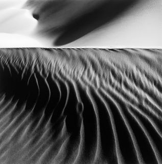 Jeffrey Conley 2001 Nipomo Dune 20"x20" Photograph Make An OFFER  