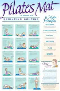 Pilates Mat Exercise Beginner Wall Chart Fitness Poster  