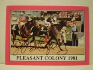 NM M 1981 Kentucky Derby Winner Pleasant Colony Jorge Velasquez Up Signed  