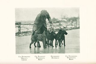 RARE Dog Book 1928 Irish Terrier Club of America  