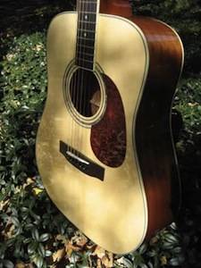 Zager EZ Play Custom Spruce Acoustic Guitar  