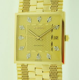 Juvenia Macho 18kt Yellow Gold Watch