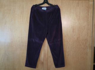 Jones Wear Velour Pants and Top Womens Size Small and Medium Fit Big