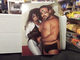 85 Kevin Sullivan Women WCW Wrestling Postcard