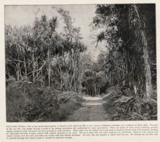 Hawaii Kilauea Volcano Road Antique 1890s Print