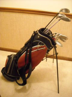 Ladies Golf Set 6 Irons 3 Woods Putter Bag Very Good Condition