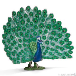 Peacock by Schleich New 2013 Bird 13728