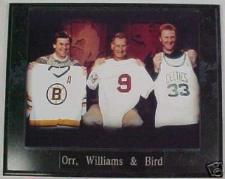 Bobby Orr Ted Williams Larry Bird Boston HOF Plaque