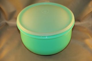 Storage Containers Green Lettuce Keeper Perfect Condition