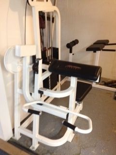 Professional Gym Quality Life Fitness Bicep Arm Curl Machine