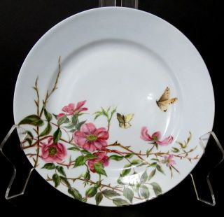 Antique Limoges D Co Remi Delinieres Butterfly Flower Porcelain Plate