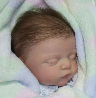 Reborn Baby Boy Kaden Gudrun Legler Linus Limited Edition Doll