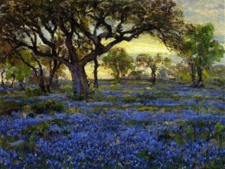 Onderdonk Old Live Oak Tree and Bluebonnets on the West Texas Oil