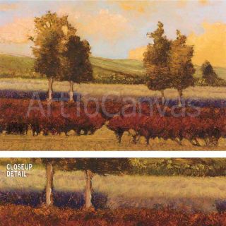 36x24 St Pierre by Kent Lovelace Vacant Field Trees Bushes Mountains