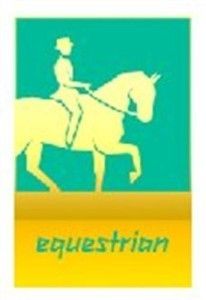 London 2012 Offical Paralympic Pictogram Equestrian Pin
