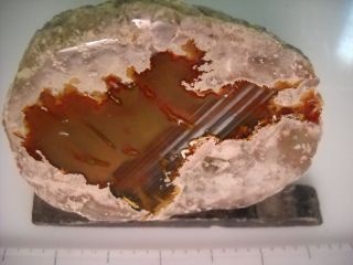 Loveland Ochoco Carnelian THUNDEREGG Half from Oregon