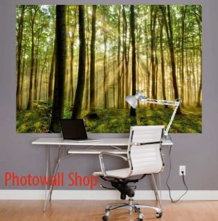 Magic Forest Photo Wallpaper Wall Mural 1 75mx1 15m FREE DELIVERY UK