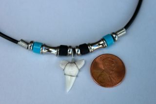 New Mako Shark Tooth 3 4 w 2mm Plastic Cord 18 Necklace Choker 10100