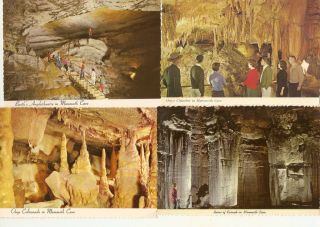 Lot of Mammoth Cave National Park Kentucky Postcards