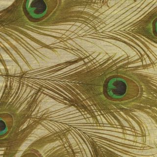 Caspari 2 8 Rolls Peacock Gold Gift Wrap Wrapping Paper
