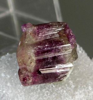 Exquisite Mangan Vesuvianite Specimen Crystals Jeffrey Mine Asbestos