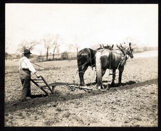 1905 Farmer Plow Horses Watertown Mass by T E Marr