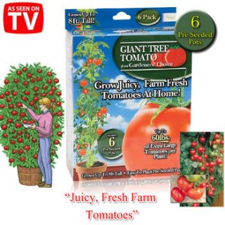 Giant Tomato Trees Gardeners Choice As Seen On TV Grow Tomatos at Home
