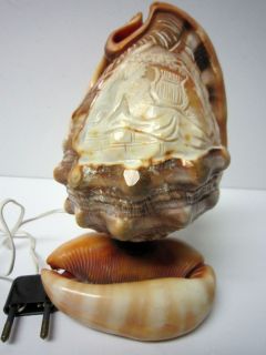 ANTIQUE VINTAGE CAMEO CARVED CONCH SHELL LAMP LADY W LYRE EUROPEAN