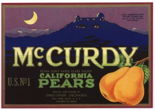 McCurdy Vintage San Jose CA Pear Crate Label Lick OB