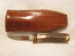 Beaver Knives Custom Handmade Small Skinner