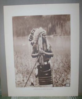 Old Glacier Park Roland Reed Photogravure Medicine Owl