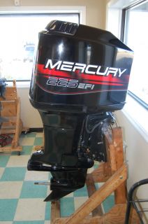 Mercury 225 EFI Outboard Boat Motor Completely Overhauled Showroom