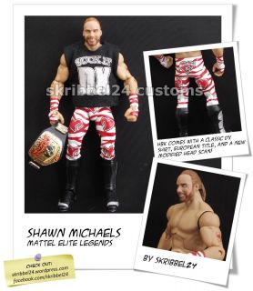 WWE custom Shawn Michaels HBK mattel elite legends classic DX by