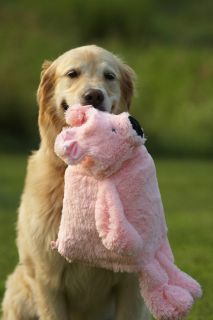 Big Gallon Milk Bottle 19 Large Pink Pig Stuffing Free Plush Dog