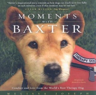 Moments with Baxter Comfort and Love from the Worlds Best Therapy Dog