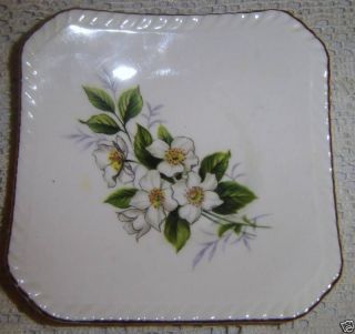 Royal Adderley Floral Bone China Pin Dish or Coaster