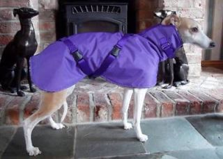 Purple Waterproof Winter Whippet Coat, Crossed Belts & Snood Sizes 17