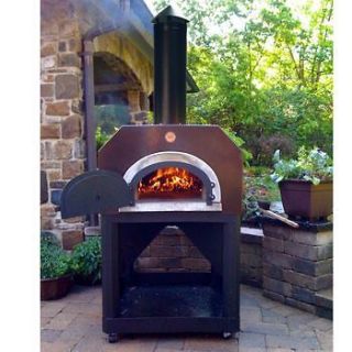 Mario Batali Amici Wood Burning Pizza Oven BBQ Barbecue Back Yard