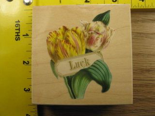 ANNA GRIFFIN LUCK TULIP FLOWER BY ALL NIGHT MEDIA Rubber Stamp #100
