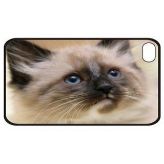 Himalayan Mix Kitten New For Apple iPhone 4 4S Hard Case Cover Skin