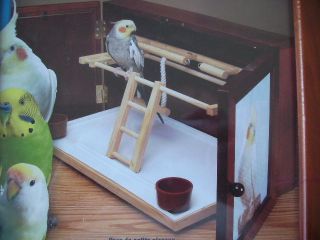 Feathered Fun Wall Mount Activity Center   * BRAND NEW * for Companion