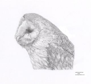 BRITISH BARN OWL drawing art Limited Edition print signed UK artist
