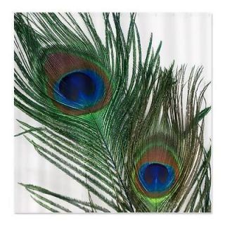 Lovely Peacock Feathers Shower Curtain by C 694476208