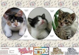 Kitten Tri Circle Card by Joanna Swinton