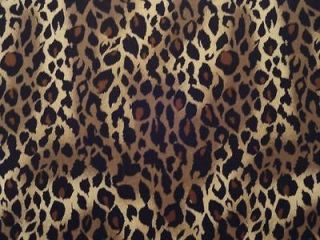 New Cheetah or Leopard Big Cat Skin Animal Print Large Wild Jungle