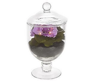 Bethlehem Lights Battery Operated 11 Apothecary Jar with Violet and