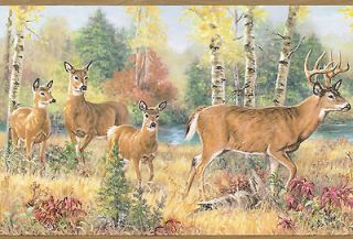 DEER FAMILY IN THE COUNTRY BIRCH TREES Deep Wallpaper bordeR Wall
