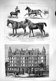 Antique Print of 1880 Buildings Temple Gardens Horse Show Jarge