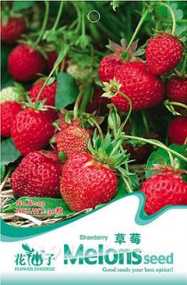 Kinds Strawberry Seeds Fruit Seeds Rare Pineberry Delicious Tempting